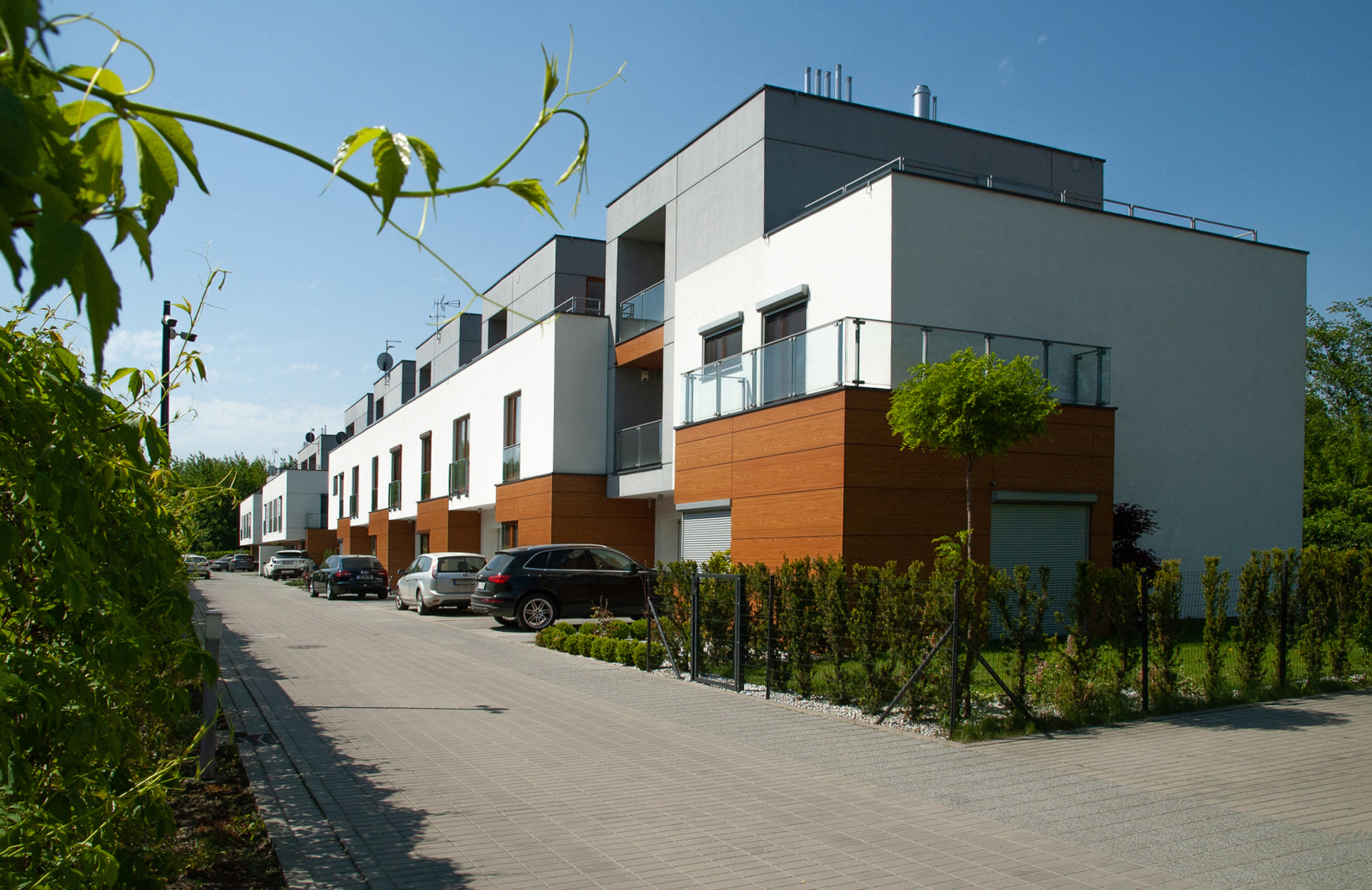 Bluszczańska 2011