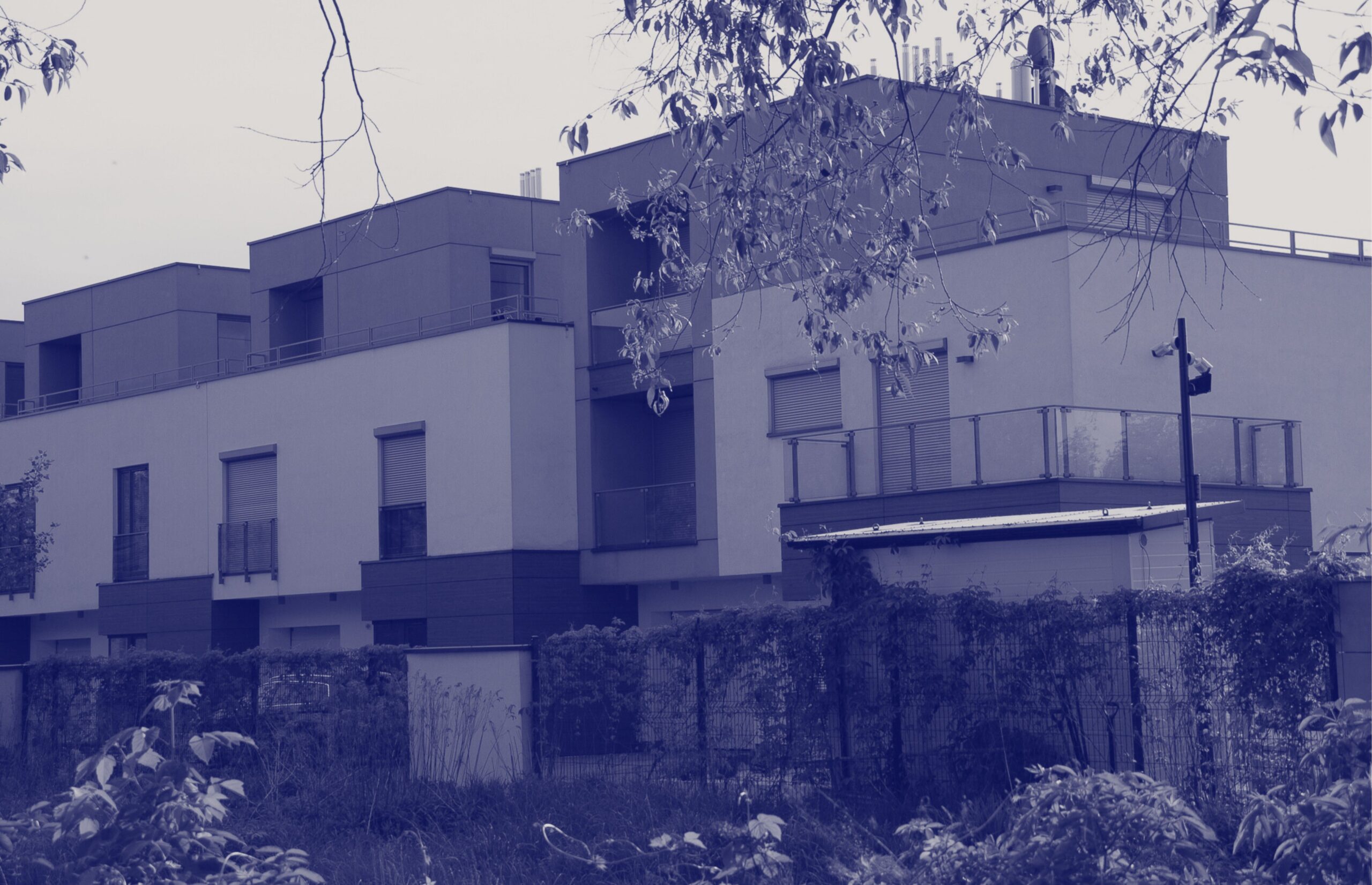 Untitled design-3